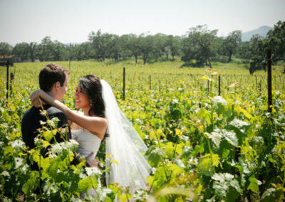 Vineyard Romantic